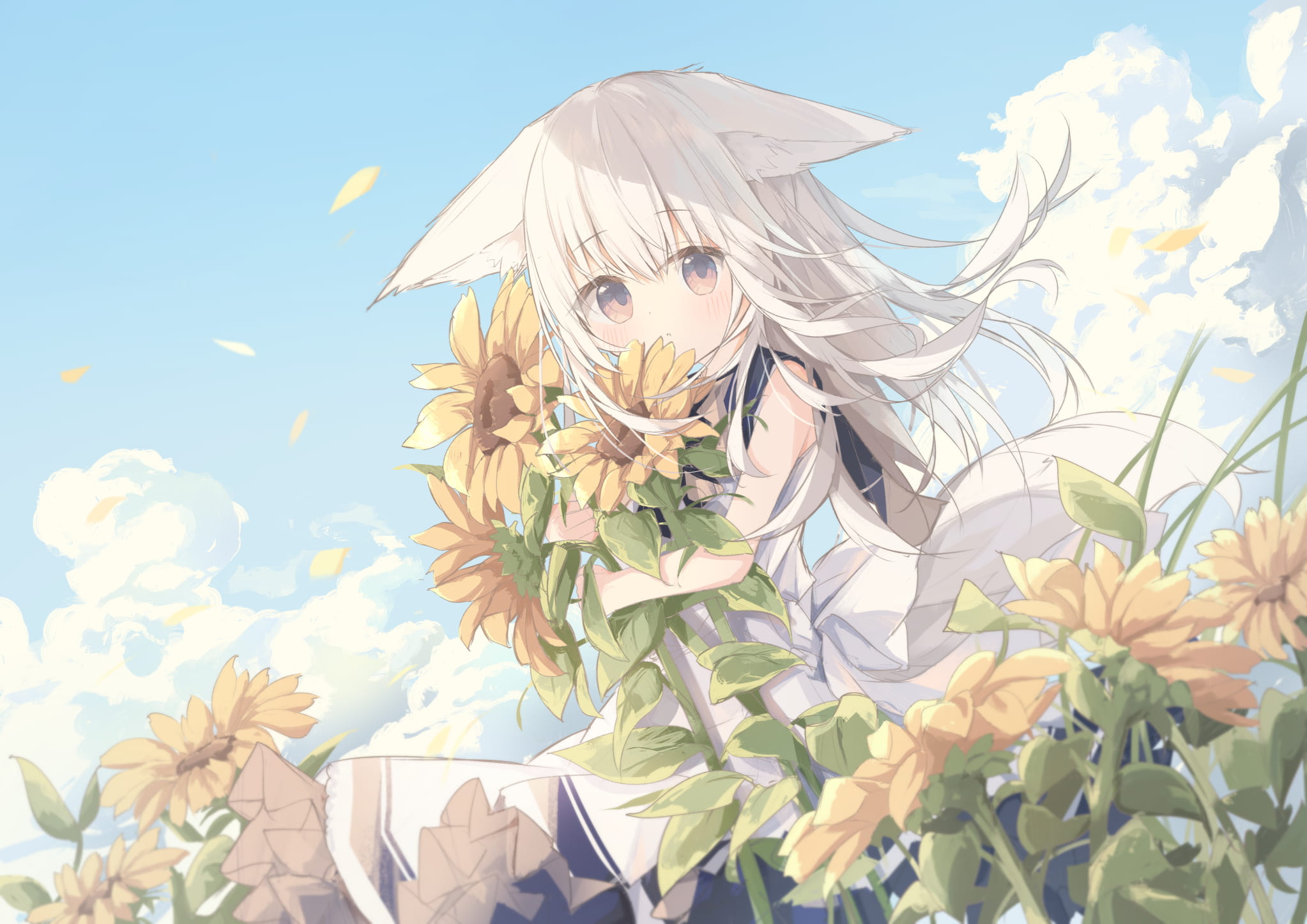 感谢与二次元情投